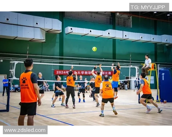 成都排球队在全国排球耐力排行榜中荣获第九名的佳绩引发关注