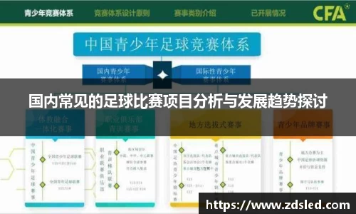国内常见的足球比赛项目分析与发展趋势探讨